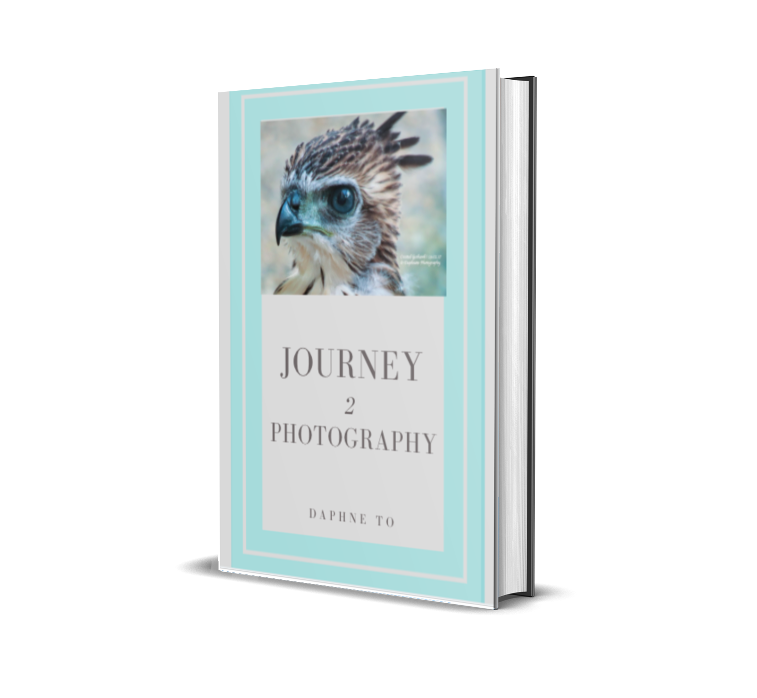 J2P Book Cover